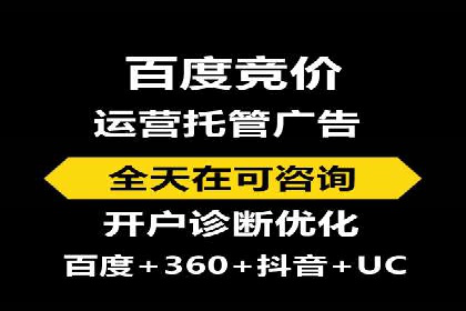 百度竞价排名案例分析：提升网站流量与转化率